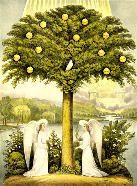 tree of lufe